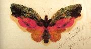 Butterfly Albert Bierstadt